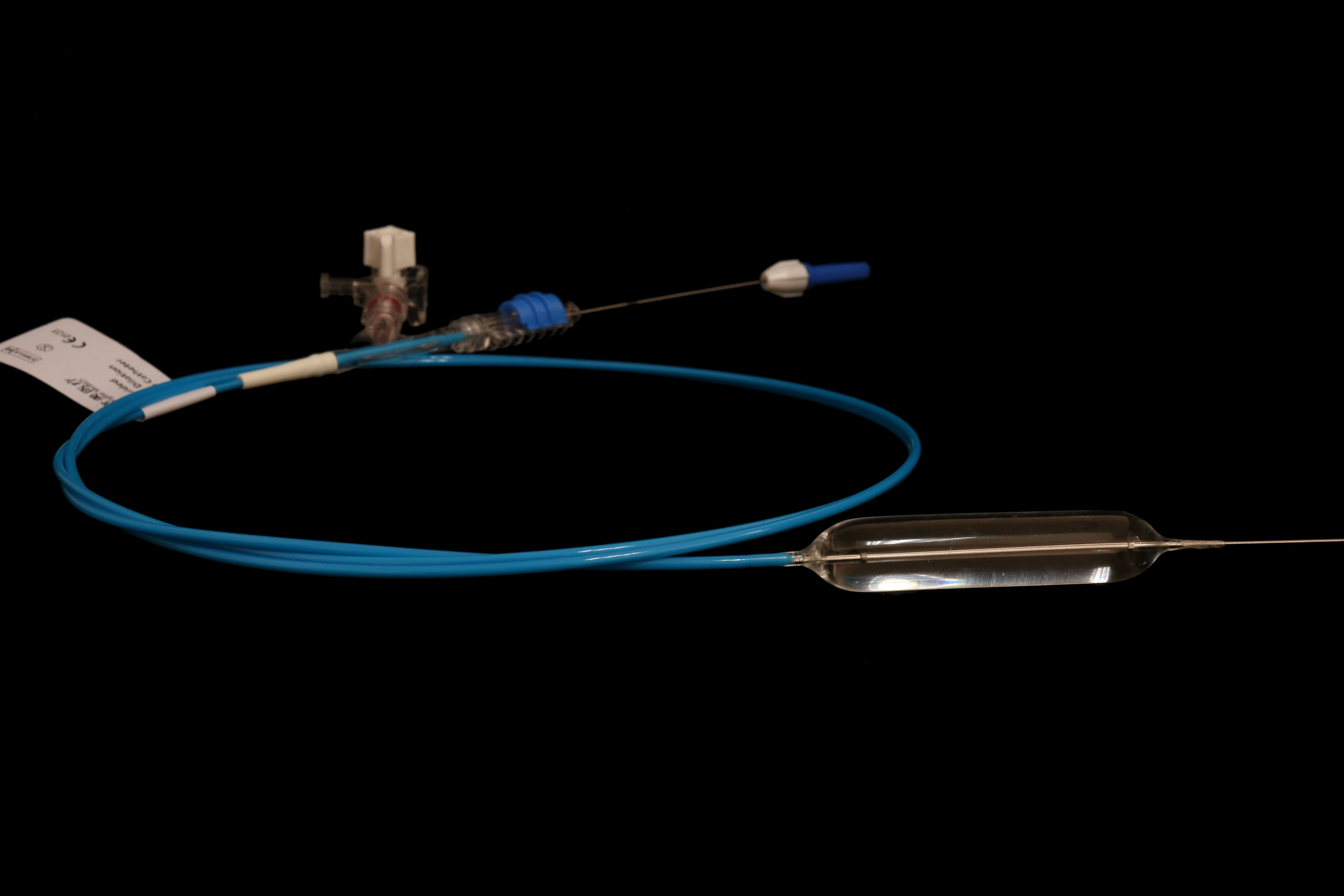 guide wire catheter